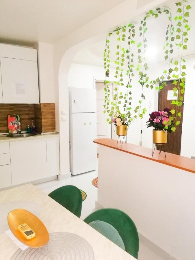 Apartament Near The Park Two Rooms Bükreş Dış mekan fotoğraf